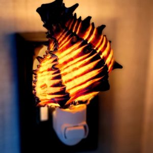 Nautical Black Radix Shell Night Light Beach Decor