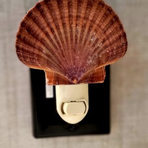 Nautical Mexican Flat Shell Night Light Ocean Scene Nite Lite Beach Decor