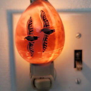 Nautical SeaGulls Night Light Ocean Scene Nite Lite Beach Decor